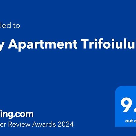 City Apartment Trifoiului Cluj-Napoca Esterno foto